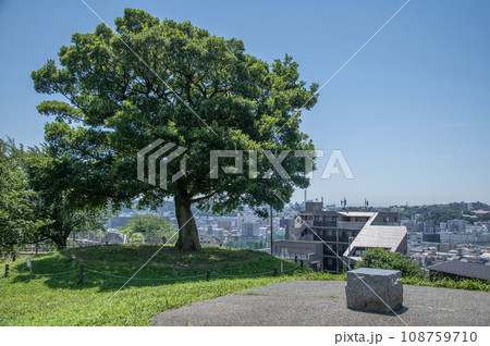 清水ヶ丘公園 横浜市南区清水ヶ丘 清水ヶ丘公園 横浜市南区清水ヶ丘 108759710