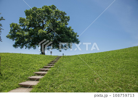 清水ヶ丘公園 横浜市南区清水ヶ丘 清水ヶ丘公園 横浜市南区清水ヶ丘 108759713