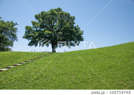 清水ヶ丘公園　横浜市南区清水ヶ丘 108759749