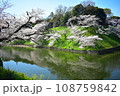 千鳥ヶ淵の桜 108759842