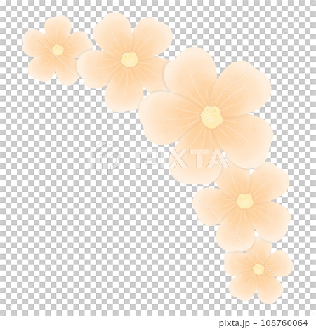 orange flower blossom orange flower blossom 108760064