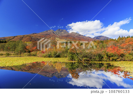 新潟妙高高原いもり池　紅葉 108760133