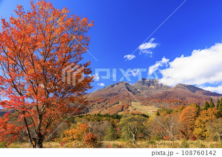 新潟妙高高原いもり池　紅葉 108760142