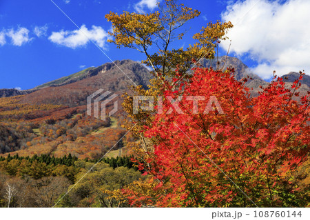 新潟妙高高原いもり池　紅葉 108760144