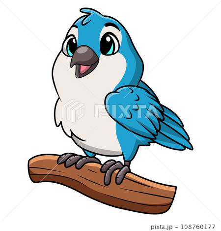 Cute blue jay cartoon on white background 108760177