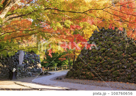 紅葉見頃な小諸城趾懐古園 紅葉見頃な小諸城趾懐古園 108760656