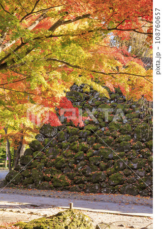 紅葉見頃な小諸城趾懐古園 紅葉見頃な小諸城趾懐古園 108760657