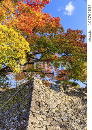 紅葉見頃な小諸城趾懐古園 紅葉見頃な小諸城趾懐古園 108760658