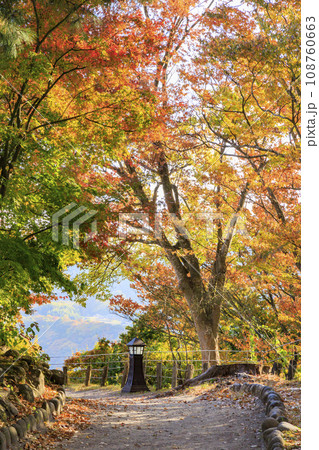 紅葉見頃な小諸城趾懐古園 108760663