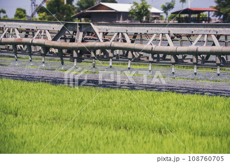 Green farm sprinkler automatic Watering machine Rice Field Green agriculture ecosystem Asian rice paddy field Thailand green farm. Harvest agriculture planting cultivation green rice terraces garden Green farm sprinkler automatic Watering machine Rice Field Green agriculture ecosystem Asian rice paddy field Thailand green farm. Harvest agriculture planting cultivation green rice terraces garden 108760705