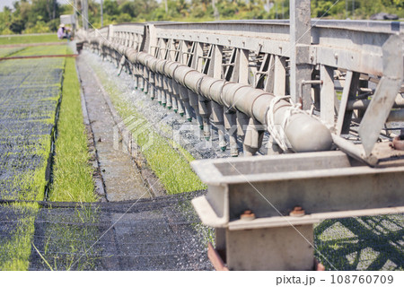 Green farm sprinkler automatic Watering machine Rice Field Green agriculture ecosystem Asian rice paddy field Thailand green farm. Harvest agriculture planting cultivation green rice terraces garden Green farm sprinkler automatic Watering machine Rice Field Green agriculture ecosystem Asian rice paddy field Thailand green farm. Harvest agriculture planting cultivation green rice terraces garden 108760709