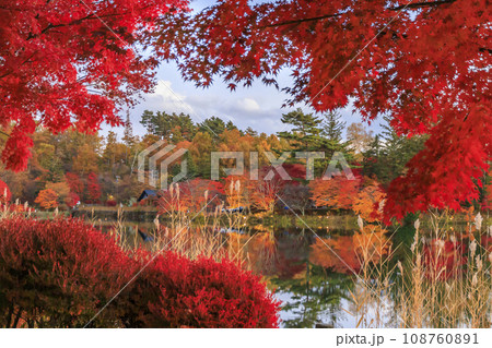 夕暮れの紅葉真っ盛りな蓼科湖  108760891