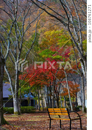 紅葉真っ盛りの九頭竜湖畔 108761271