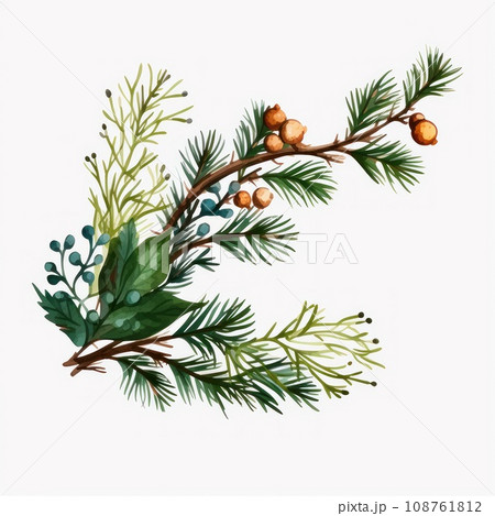 Christmas Fir twigs isolated on white background. Xmas decoration Christmas Fir twigs isolated on white background. Xmas decoration 108761812
