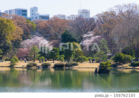 東京の春 六義園 東京の春 六義園 108762185