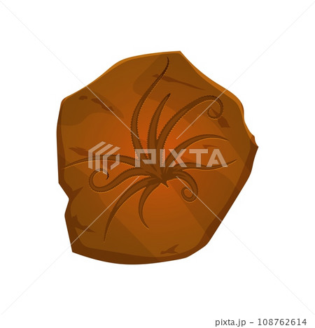 Ancient fossil, plant imprint in stone. Extinct plant archaeological find, jurassic era leaves stone imprint or prehistoric life piece paleontology museum isolated cartoon vector rock 108762614