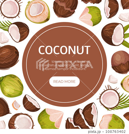 Coconut Product Banner Design with Organic Plant Vector Template 108763402