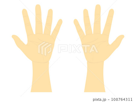 右手と左手の手のひら 108764311