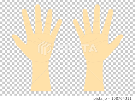右手と左手の手のひら 108764311