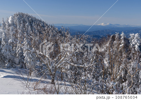 冬の剣ヶ峰山の登山道から見た浅間山 108765034