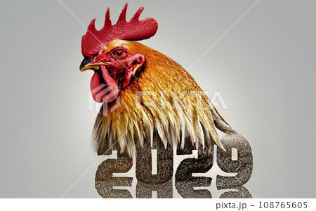 2029 Rooster year theme  108765605