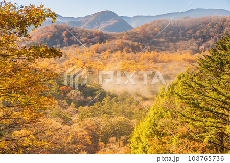 奥日光湯元付近から戦場ヶ原の紅葉 108765736