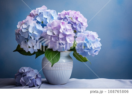 hydrangea flowers in vase on light blue pastel background 108765806