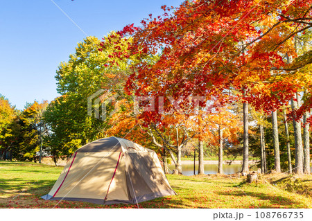 秋の紅葉キャンプ 108766735