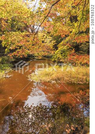 高遠城址秋の紅葉まつり 108768322