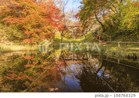 高遠城址秋の紅葉まつり 108768329