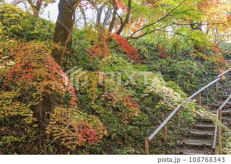 高遠城址秋の紅葉まつり 108768343