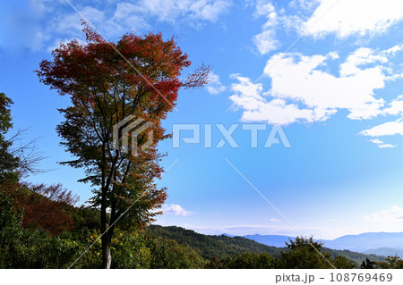 紅葉と秋晴れ 紅葉と秋晴れ 108769469