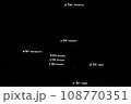 オリオン座 108770351