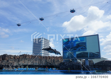 名古屋港水族館 名古屋港水族館 108770400