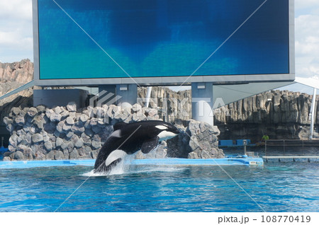 名古屋港水族館 名古屋港水族館 108770419