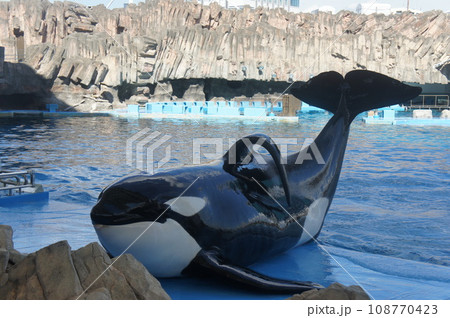 名古屋港水族館 名古屋港水族館 108770423