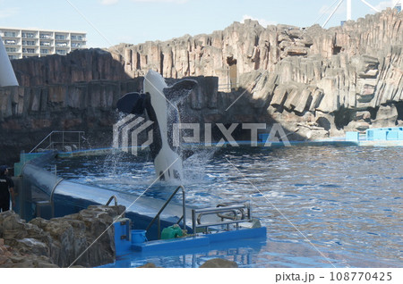 名古屋港水族館 名古屋港水族館 108770425
