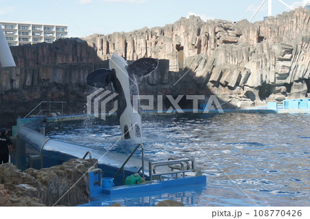 名古屋港水族館 名古屋港水族館 108770426