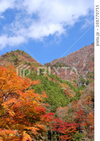 べふ峡 自然が織りなす景観 (高知県 香美市) べふ峡 自然が織りなす景観 (高知県 香美市) 108770755