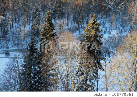 Winter landscape. Trees and bushes with hoarfrost. The cold season. a grayish-white crystalline deposit of frozen water vapor formed in clear still weather Winter landscape. Trees and bushes with hoarfrost. The cold season. a grayish-white crystalline deposit of frozen water vapor formed in clear still weather 108770961