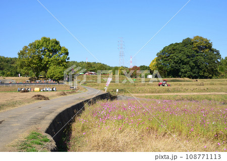 おかばる花公園のコキア 108771113