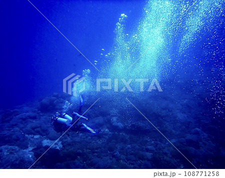 海中を泳ぐダイバー 海中を泳ぐダイバー 108771258