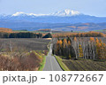 旭岳に向かう道の秋 108772667