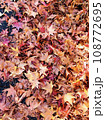 秋の紅葉の落ち葉の絨毯 108772695