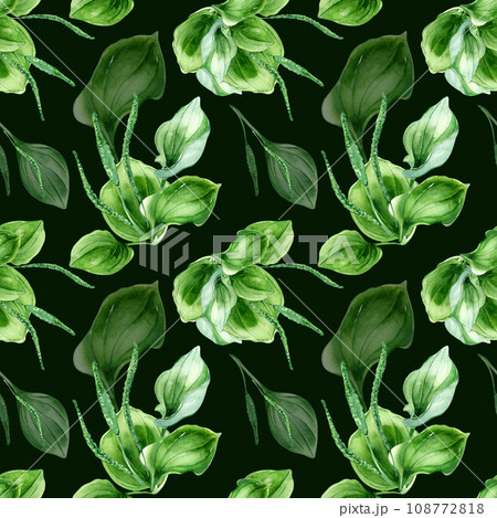 Plantago broadleaf medicinal plant watercolor seamless pattern isolated on black background. Plantain, green leaves, herb, psyllium hand drawn. Design for textile, package, wallpaper, wrapping 108772818
