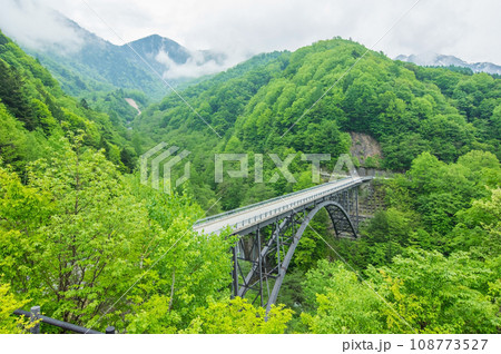 【奥飛騨の絶景スポット】新緑の北アルプス大橋 【奥飛騨の絶景スポット】新緑の北アルプス大橋 108773527
