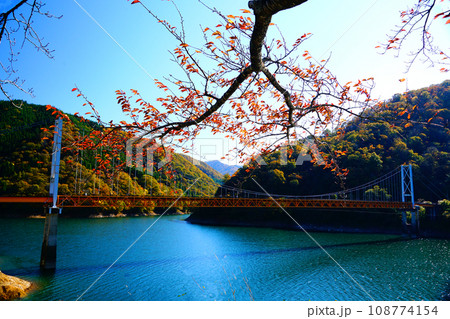 九頭竜湖の秋と紅葉　箱ヶ瀬橋 108774154