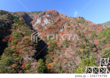 高の瀬峡 展望台からの景観 (徳島県 那賀町) 高の瀬峡 展望台からの景観 (徳島県 那賀町) 108774799