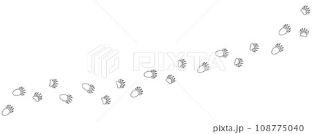 Path of bear footprints. Tracks of paw prints of bear, panda, grizzly bear in the snow. Contour. Bear trail. Vector isolated on white. For print, textile, postcard, book design, games, pet store zoo. Path of bear footprints. Tracks of paw prints of bear, panda, grizzly bear in the snow. Contour. Bear trail. Vector isolated on white. For print, textile, postcard, book design, games, pet store zoo. 108775040