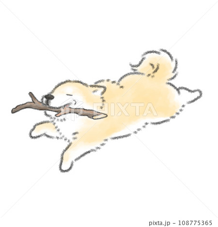 いい感じの枝を拾って嬉しい犬 いい感じの枝を拾って嬉しい犬 108775365